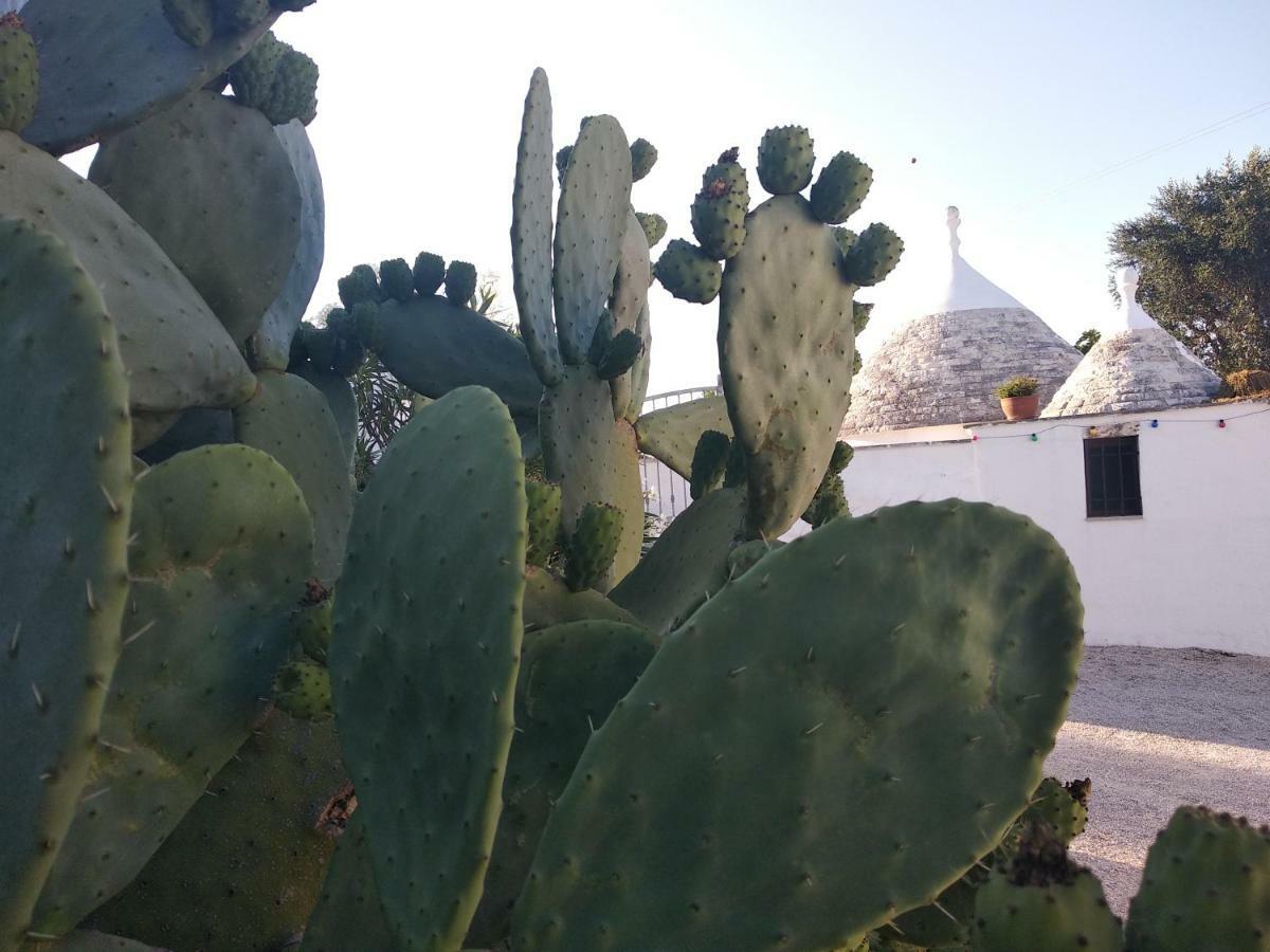 Piccolo Trullo Ostunese Le Jardin De Sophie' Ostuni Exterior foto